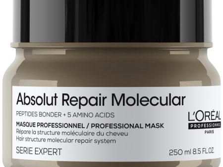 L Oreal Professionnel Serie Expert Absolut Repair Molecular Rinse-Off Treatment Mask 250ml Online Sale