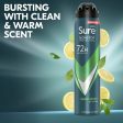 Sure Men Nonstop Protection 72h Quantum Dry Anti-Perspirant Deodorant Spray 250ml For Discount